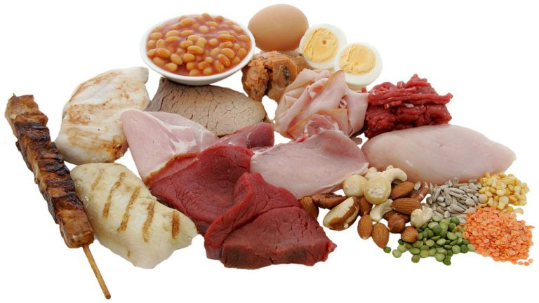 چگونگی هضم و جذب پروتئین ها در بدن