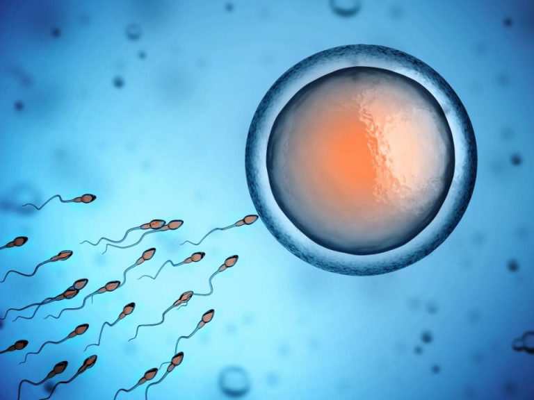 اختلالات اسپرماتوژنز و ناباروری مردان