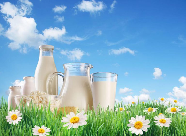 توصیه هایی برای مصرف گروه شیر و لبنیات
