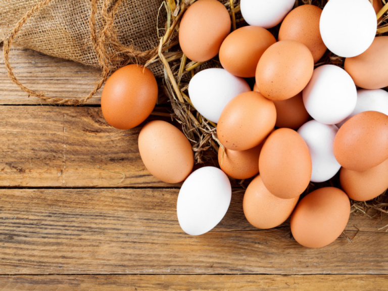 تخم مرغ محلی بهتر است یا تخم مرغ معمولی ؟